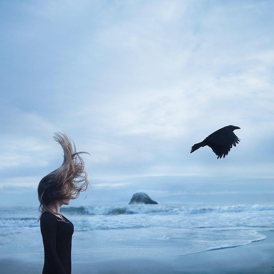 Pájaro |:  Fotografía surrealista que explora el solitario mundo interior del hombre.  bayas de cerebro